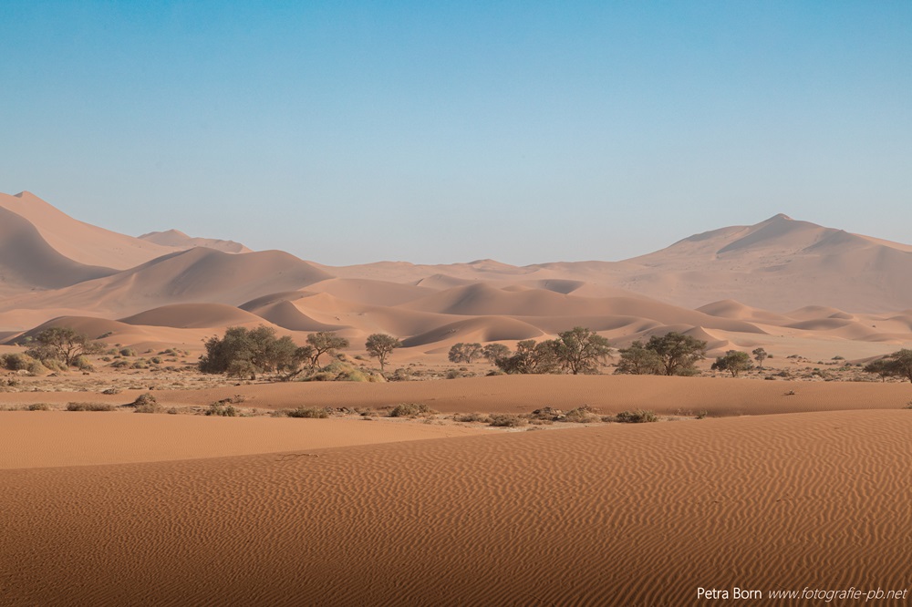 Namib